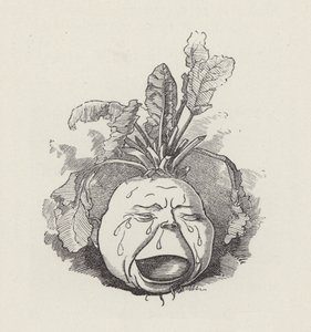 查尔斯·金斯利的《水宝宝》插图（版画） 作者 爱德华·林利（之后）桑伯恩
