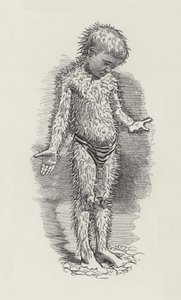 查尔斯·金斯利的《水宝宝》插图（版画） 作者 爱德华·林利（之后）桑伯恩