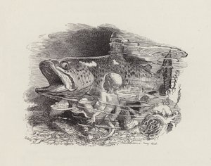 查尔斯·金斯利的《水宝宝》插图（版画） 作者 爱德华·林利（之后）桑伯恩