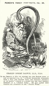 打孔卡通：查尔斯·达尔文，英国博物学家和生物学家（版画）