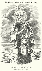打孔卡通：英国外科医生和皮肤科医生 Erasmus Wilson 爵士（雕刻）