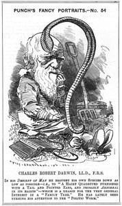 查尔斯-达尔文（1809-1882）英国博物学家。自然选择的进化。爱德华-林利-桑伯恩（1844-1910）的漫画，载于伦敦《Punch》杂志的花式肖像系列，1881年，这一年达尔文发表了《通过作用形成植物模型》。 作者 爱德华·林利·桑伯恩
