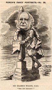 Erasmus Wilson (1809-1884) 作者 爱德华·林利·桑伯恩