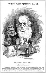 理查德·欧文（Richard Owen），英国动物学家，1884年 作者 爱德华·林利·桑伯恩