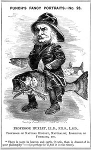 托马斯·亨利·赫x黎（Thomas Henry Huxley），英国生物学家，1881年 作者 爱德华·林利·桑伯恩