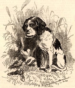 William GGV Vernon Harcourt (1827-1904) 作者 爱德华·林利·桑伯恩