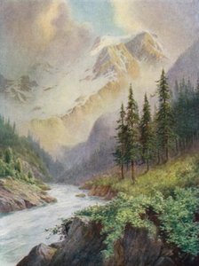 山雾