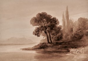有树的风景 作者 爱德华漂亮