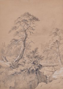 风景与木桥 作者 爱德华漂亮
