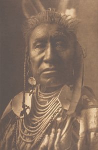 鱼类展览 - Apsaroke, 1908年。 作者 爱德华警长柯蒂斯