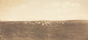 太阳舞集结地--皮根，1900年。 作者 爱德华警长柯蒂斯
