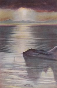 1911年，1913年从观察山的小屋点。