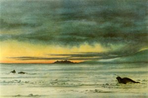 在麦克默多海湾向北看》，1911年，1946年。   作者 爱德华·威尔逊