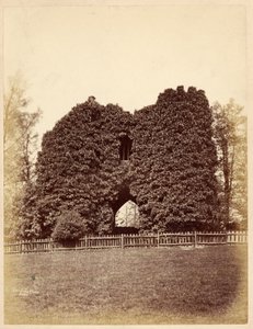 朗德公园（Roundhay Park）的愚蠢景色（相簿打印） 作者 爱德华·沃尔玛德（Edward Wormald）