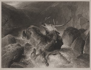约翰·库森（John Cousen）（1804-80）刻的鹿角之死