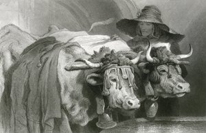 坦克旁的牛群，日内瓦（雕刻）。 作者 埃德温（后）兰瑟