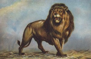 Landseer 在特拉法加广场的狮子研究，伦敦国家美术馆（彩色石版画）