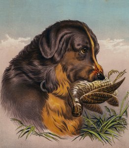 寻回猎犬》（彩色印刷版） 作者 埃德温（后）兰瑟