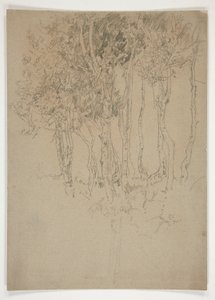 小树林草图 作者 埃德温奥斯汀修道院