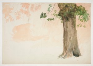 树干研究 作者 埃德温奥斯汀修道院
