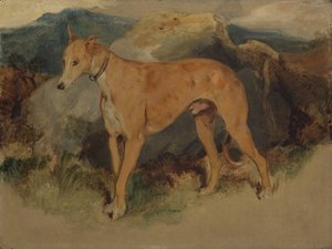 猎鹿犬（Deerhound），1826年。 作者 埃德温·兰瑟