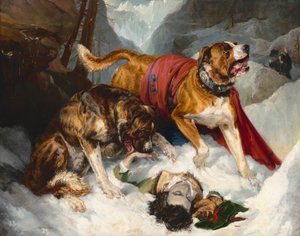 阿尔卑斯山的獒犬为一个受困的旅行者重新注入活力，1820年。