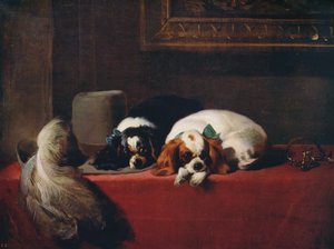 查尔斯国王猎犬宠物队，1845年，c1915年
