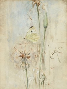 蝴蝶和蓟州（水彩画）