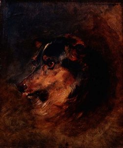 柯利牧羊犬的头部研究 作者 埃德温·兰瑟