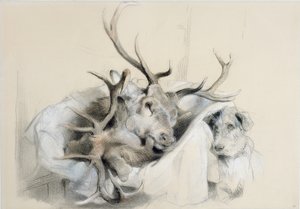 雄鹿的头和狗，1857年 作者 埃德温·兰瑟