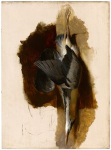 研究死苍鹭，c.1832-33 作者 埃德温·兰瑟