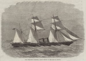 HM Steam-Ship Racehorse，最近在Pecheli海湾失事