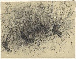 一些花粉柳 作者 埃格伯特·鲁伯图斯·德克·沙普