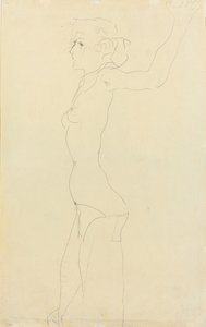 女性裸体麦琴纳克（Madchenakt），1911年 作者 埃贡·席勒（Egon Schiele）