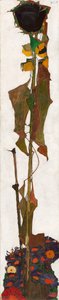 向日葵，1909-1910年。 作者 埃贡·席勒（Egon Schiele）