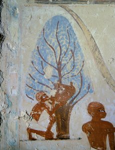  作者 埃及第十八王朝