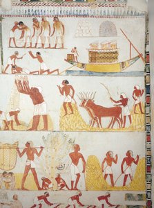船，以及收割、收集、运输和加工谷物的场景，壁画，南翼，横室，底比斯的Theban Tomb TT69，Sheikh Abd el-Qurna，（联合国教科文组织世界文化遗产名录 作者 埃及第十八王朝