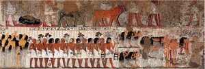 埃及古物：哭泣的葬礼场景。拉莫斯（公元前1411-1375年）墓，底比斯总督和大臣，阿梅诺菲斯四世执政之初。埃及古尔奈（Sheikh Abd el-Gournah）墓园--古埃及：送葬者的葬礼。汤姆 作者 埃及第十八王朝