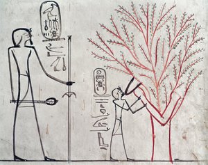 伊希斯蜕变成美国梧桐树哺乳Tuthmosis III（公元前1479-1425）（壁画） 作者 埃及第十八王朝