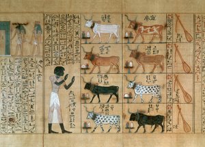 麦赫佩里《死者之书》中描绘牛的纸莎草纸 作者 埃及第十八王朝
