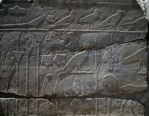 公元前 1465 年图特摩斯三世远征叙利亚带回的植物和动物，浮雕细节，被称为植物园的大厅，阿蒙神庙，卡纳克神庙建筑群，埃及文明，新王国，第十八王朝 作者 埃及第十八王朝