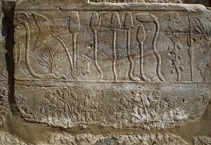 公元前 1465 年，图特摩斯三世从叙利亚征战归来时献给阿蒙的动物和植物浮雕，埃及卢克索忒拜墓地卡纳克植物园房间，新王国第十八王朝 作者 埃及第十八王朝