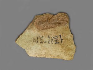 葡萄酒标签，发现于阿蒙霍特普三世宫，新英国底比斯（赤土陶器与颜料）