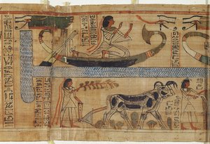 祭司Aha-Mer的死亡之书的细节描绘了一个三重中间期（纸莎草纸）和一个农场 作者 埃及第21王朝