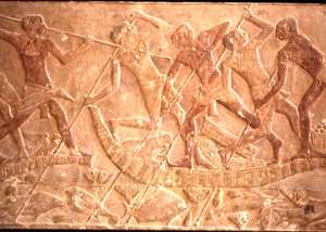 第五王朝，Ptah-Hotep墓，纸莎草纸船上捕鱼的男子(照片) 作者 埃及第五王朝