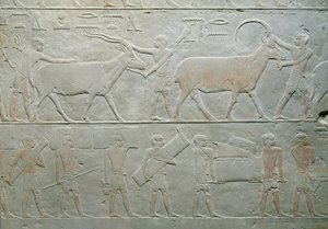 仆人驾驶羚羊和羚羊以及其他携带行李的人，从Akhethotep，Saqqara，旧王国的Mastaba，公元前240年（画石灰石）