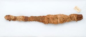 鳄鱼的木乃伊，发现于公元前305  -  30年的曼法隆（动物遗骸和亚麻） 作者 埃及托勒密时期