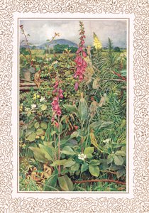 毛地黄中的 Naues Fairies，阿尔弗雷德·丁尼生 (Alfred Tennyson)（1809-92 年）《国王田园诗》中的插图，由 Hodder & Stoughton 出版 作者 埃莉诺 Fortescue-Brickdale