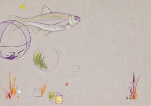 漂浮，2014（纸上水彩笔和金箔）