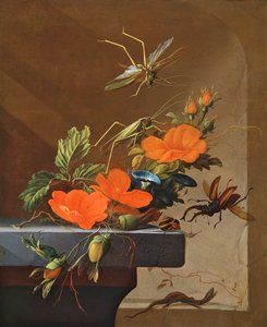 一束玫瑰，牵牛花和榛子与蚱蜢，雄鹿甲虫和蜥蜴